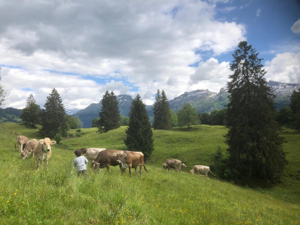 Ferienwohnungen Mit 4 Betten In Gersau Direkt Am Vierwaldstaettersee Exterior foto