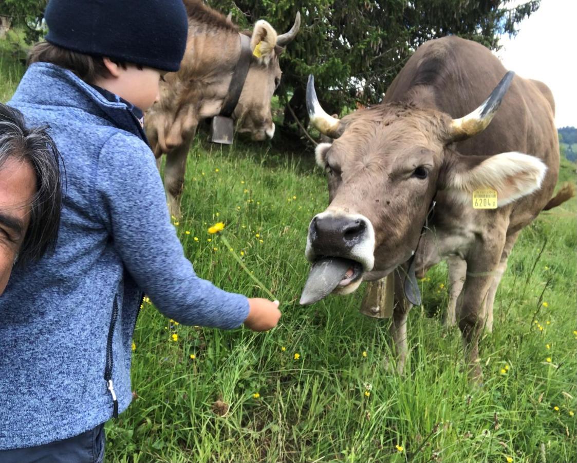 Ferienwohnungen Mit 4 Betten In Gersau Direkt Am Vierwaldstaettersee Exterior foto